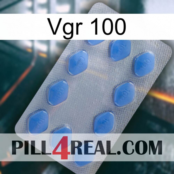 Vgr 100 21.jpg